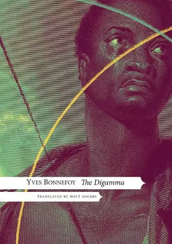 The Digamma cover
