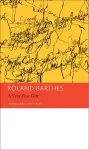 "A Very Fine Gift" and Other Writings on Theory cover
