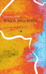 What Is Africa to Me? cover