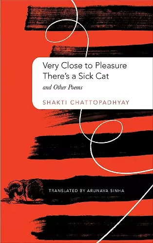 Very Close to Pleasure, There's a Sick Cat cover