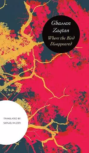 Where the Bird Disappeared cover