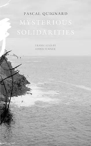 Mysterious Solidarities cover