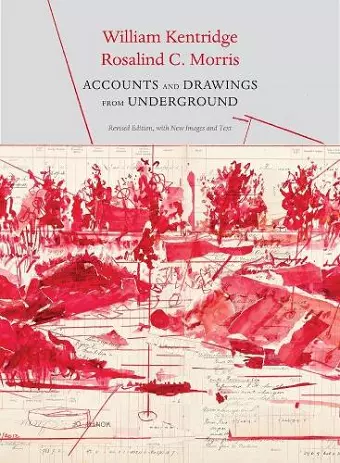 Accounts and Drawings from Underground cover