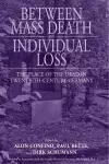 Between Mass Death and Individual Loss cover