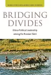 Bridging Divides cover