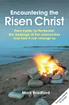 Encountering the Risen Christ cover