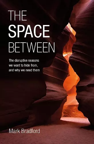 The Space Between cover