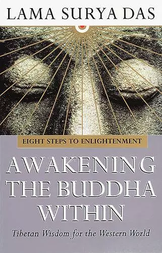 Awakening The Buddha Within cover