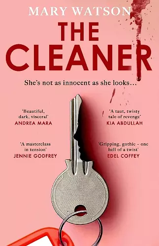 The Cleaner cover