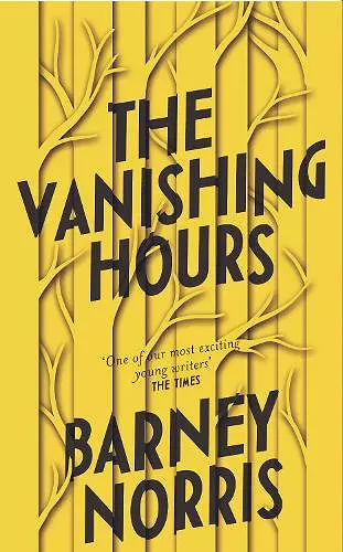 The Vanishing Hours cover