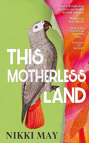 This Motherless Land cover