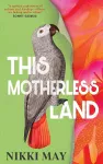 This Motherless Land cover