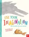Use Your Imagination cover