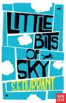 Little Bits of Sky cover