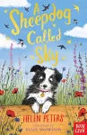 A Sheepdog Called Sky cover