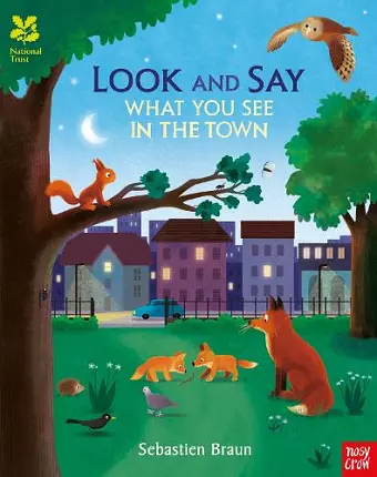 National Trust: Look and Say What You See in the Town cover