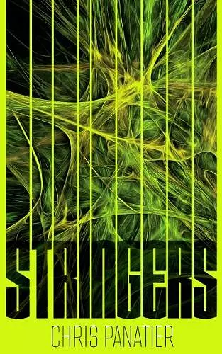 Stringers cover