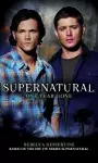 Supernatural: One Year Gone cover