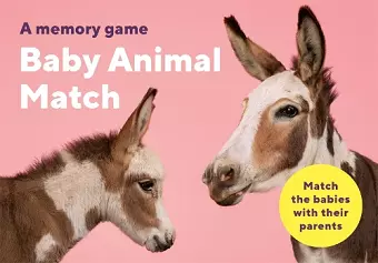 Baby Animal Match cover