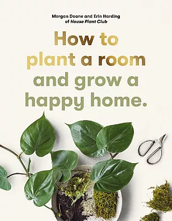 How to plant a room cover