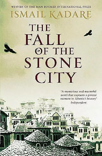 The Fall of the Stone City cover