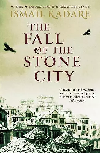 The Fall of the Stone City cover