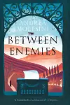 Between Enemies cover