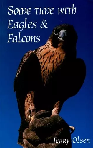 Some Time with Eagles & Falcons cover