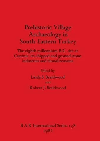 Prehistoric Village Archaeology in South-eastern Turkey cover