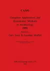 Computer Applications and Quantitative Methods in Archaeology 1991 cover