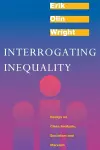 Interrogating Inequality cover