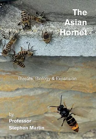The Asian Hornet cover