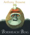 Boidheach Beag cover