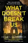 What Doesn't Break Us cover
