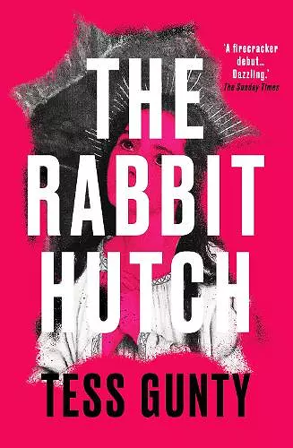 The Rabbit Hutch cover