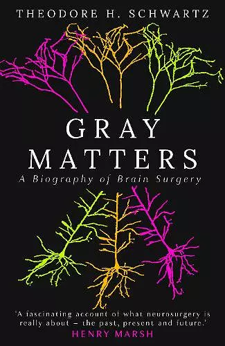 Gray Matters cover