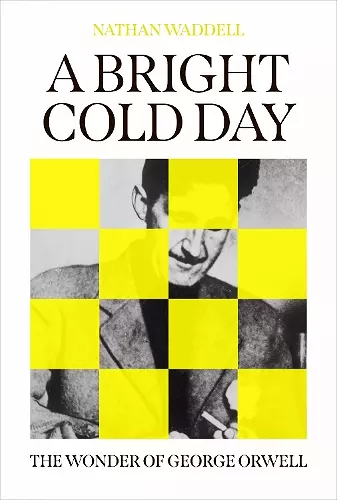 A Bright Cold Day cover