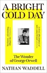A Bright Cold Day cover