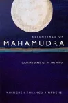 Essentials of Mahamudra cover