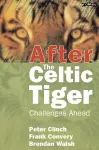 After the Celtic Tiger cover