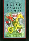 A Little Book of Irish Family Names cover