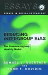 Reducing Intergroup Bias cover