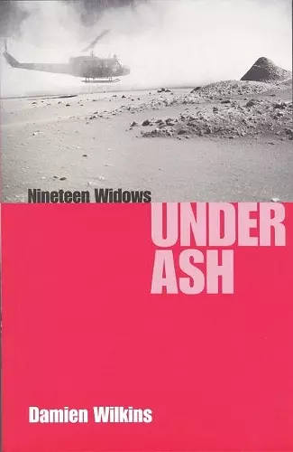 Nineteen Widows Under Ash cover