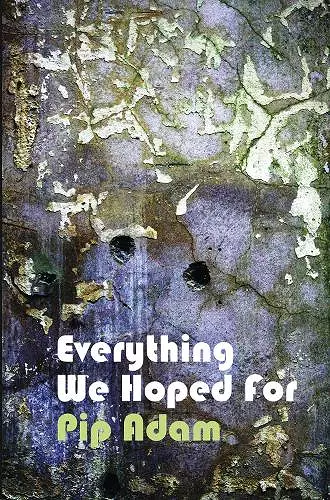 Everything We Hoped For cover