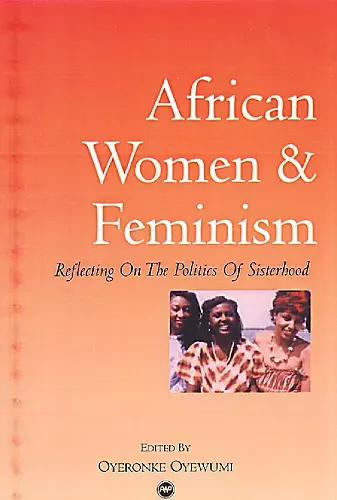 African Women And Feminism cover