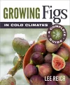 Growing Figs in Cold Climates cover