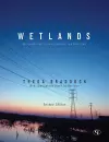 Wetlands cover