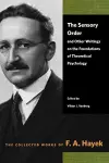 The Sensory Order and Other Writings on the Foundations of Theoretical Psychology cover