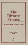 The Divorce Process cover