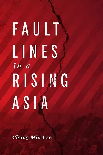 Fault Lines in a Rising Asia cover